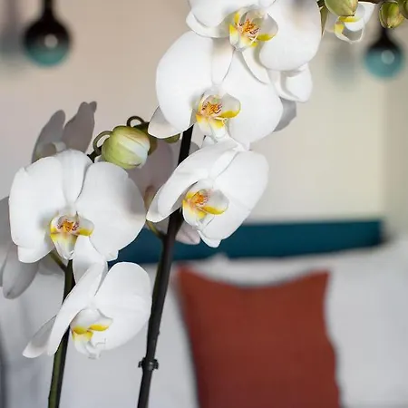 Hotel apartamentowy Casa Do Torel - Suites Designs Au Coeur De Lisbonne *