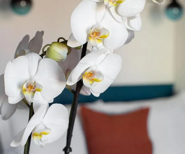 Aparthotel Casa Do Torel - Suites Designs Au Coeur De Lisbonne *